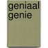Geniaal genie