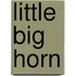 Little big horn