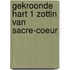 Gekroonde hart 1 zottin van sacre-coeur