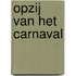 Opzij van het carnaval