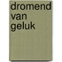 Dromend van geluk
