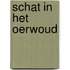 Schat in het oerwoud
