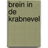 Brein in de krabnevel