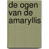 De ogen van de Amaryllis