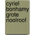 Cyriel bonhamy grote rioolroof