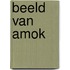 Beeld van Amok