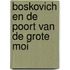 Boskovich en de poort van de grote moi