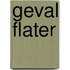 Geval flater