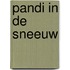 Pandi in de sneeuw