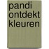 Pandi ontdekt kleuren