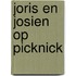 Joris en josien op picknick