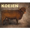 Koeien door Val Porter