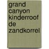 Grand canyon kinderroof de zandkorrel