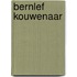 Bernlef kouwenaar