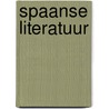 Spaanse literatuur by Maarten Steenmeijer