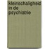 Kleinschaligheid in de psychiatrie