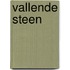 Vallende steen