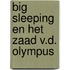 Big sleeping en het zaad v.d. olympus