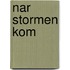 Nar stormen kom