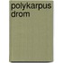 Polykarpus drom