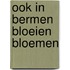 Ook in bermen bloeien bloemen