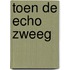 Toen de echo zweeg