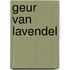Geur van lavendel