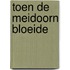 Toen de meidoorn bloeide