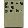 Geen weg terug grootdruk door Geertje Gort