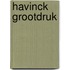 Havinck grootdruk