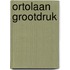 Ortolaan grootdruk