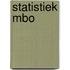 Statistiek mbo