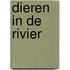 Dieren in de rivier