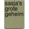 Sasja's grote geheim door Onbekend