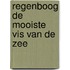Regenboog de mooiste vis van de zee