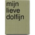 Mijn lieve dolfijn