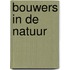 Bouwers in de natuur