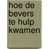 Hoe de bevers te hulp kwamen