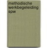 Methodische werkbegeleiding SPW by M. Brands