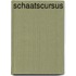 Schaatscursus