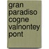 Gran paradiso cogne valnontey pont