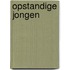 Opstandige jongen