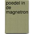 Poedel in de magnetron