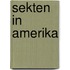 Sekten in amerika