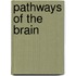 Pathways of the brain