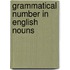 Grammatical number in english nouns