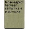Tense-Aspect: Between Semantics & Pragmatics door Hopper