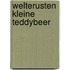 Welterusten kleine teddybeer