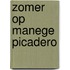 Zomer op manege picadero