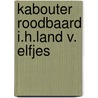 Kabouter roodbaard i.h.land v. elfjes door Guldemond